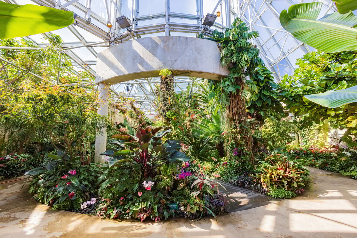 San Antonio Botanical Gardens